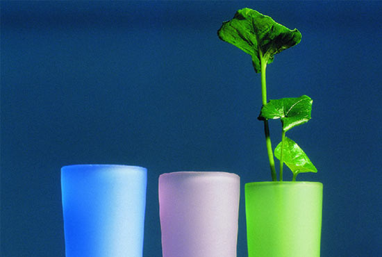 清潔百科：關(guān)于玻璃清洗劑